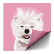 Load image into Gallery viewer, Window Cling - 60”W x 36”H #WCLING-6036 Min 1