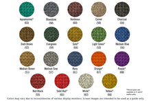 Load image into Gallery viewer, Waterhog Inlay Indoor/ Outdoor Logo Mat with Surface Nubs #234 3&#39;x5&#39; (33&quot;x56&quot;) Min 1
